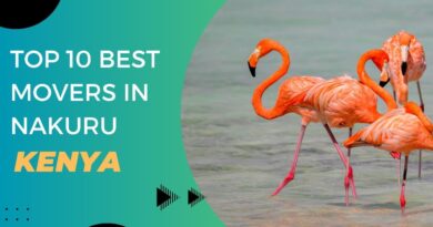 best Movers in Nakuru