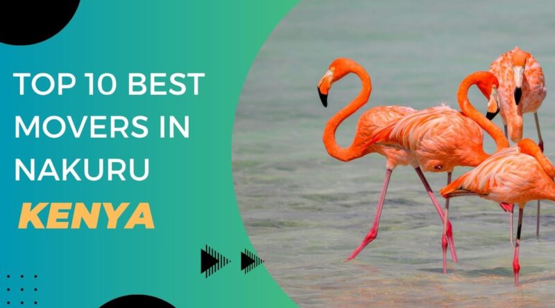 best Movers in Nakuru