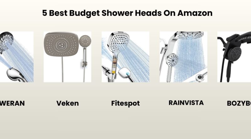 Best Budget Shower Heads Reviews