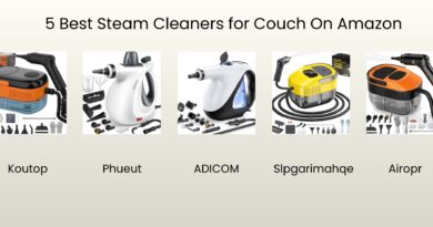 5 Best Steam Cleaners for Couch Reviews
