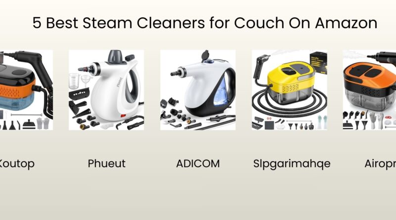 5 Best Steam Cleaners for Couch Reviews