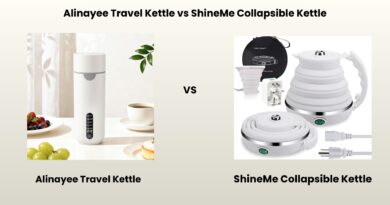 Alinayee Travel Kettle Review